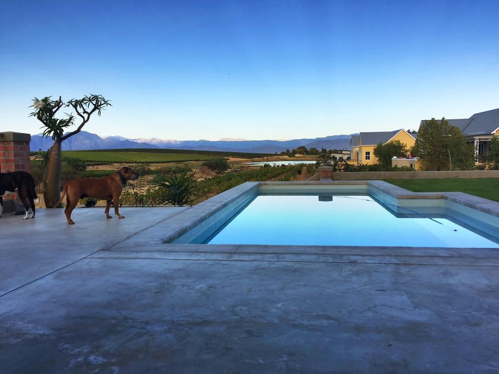Vineyard Views Country House Riebeek-Kasteel Exterior photo